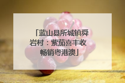 蓝山县所城镇舜岩村：紫茄喜丰收 畅销粤港澳