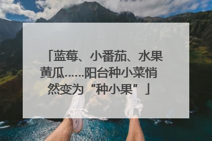 蓝莓、小番茄、水果黄瓜……阳台种小菜悄然变为“种小果”