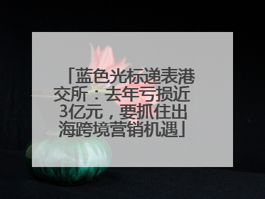 蓝色光标递表港交所：去年亏损近3亿元，要抓住出海跨境营销机遇