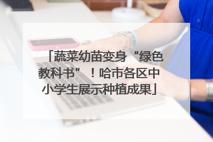 蔬菜幼苗变身“绿色教科书”！哈市各区中小学生展示种植成果