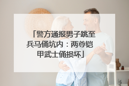 警方通报男子跳至兵马俑坑内：两尊铠甲武士俑损坏