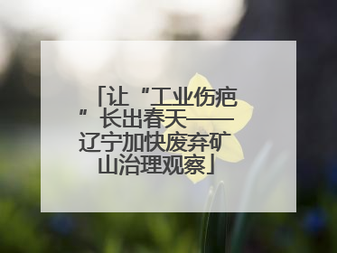 让“工业伤疤”长出春天——辽宁加快废弃矿山治理观察