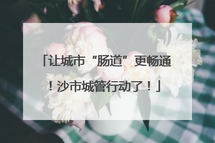 让城市“肠道”更畅通！沙市城管行动了！