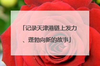 记录天津港链上发力、蓬勃向新的故事