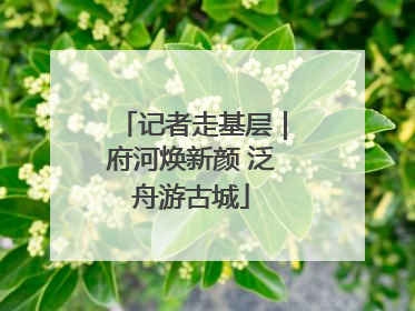 记者走基层｜府河焕新颜 泛舟游古城