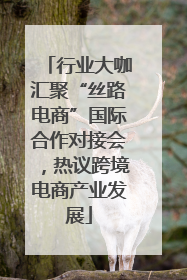 行业大咖汇聚“丝路电商”国际合作对接会，热议跨境电商产业发展