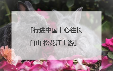 行进中国丨心往长白山 松花江上游