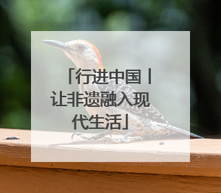 行进中国丨让非遗融入现代生活