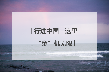 行进中国｜这里，“参”机无限