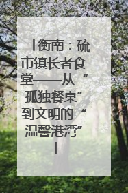 衡南：硫市镇长者食堂——从“孤独餐桌”到文明的“温馨港湾”