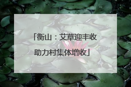 衡山：艾草迎丰收 助力村集体增收