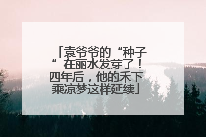 袁爷爷的“种子”在丽水发芽了！四年后，他的禾下乘凉梦这样延续