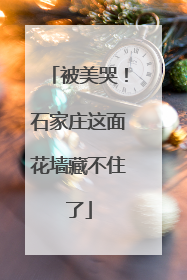 被美哭！石家庄这面花墙藏不住了