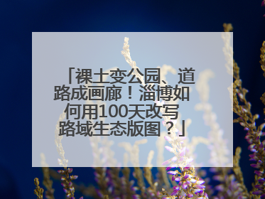 裸土变公园、道路成画廊！淄博如何用100天改写路域生态版图？