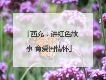 西充：讲红色故事 育爱国情怀