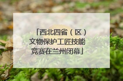 西北四省（区）文物保护工匠技能竞赛在兰州闭幕