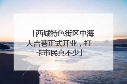 西城特色街区中海大吉巷正式开业，打卡市民真不少