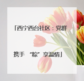 西宁西台社区：党群携手 “粽”享温情