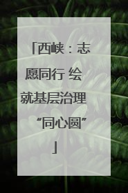 西峡：志愿同行 绘就基层治理“同心圆”