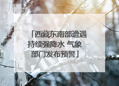 西藏东南部遭遇持续强降水 气象部门发布预警