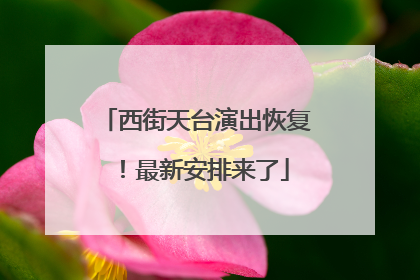 西街天台演出恢复！最新安排来了
