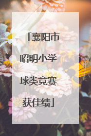 襄阳市昭明小学球类竞赛获佳绩