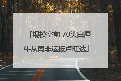 规模空前 70头白犀牛从南非运抵卢旺达