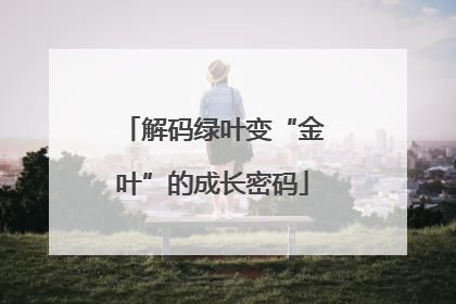 解码绿叶变“金叶”的成长密码