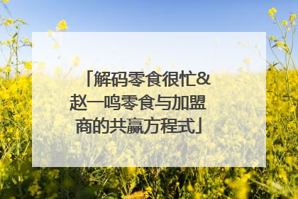 解码零食很忙&赵一鸣零食与加盟商的共赢方程式