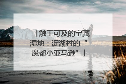 触手可及的宝藏湿地：淀湖村的“魔都小亚马逊”