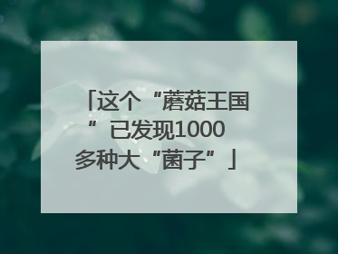 这个“蘑菇王国”已发现1000多种大“菌子”