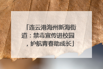 连云港海州新海街道：禁毒宣传进校园，护航青春助成长