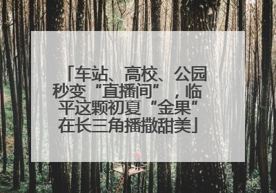 车站、高校、公园秒变“直播间”，临平这颗初夏“金果”在长三角播撒甜美