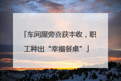车间屋旁喜获丰收，职工种出“幸福餐桌”