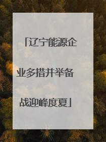 辽宁能源企业多措并举备战迎峰度夏