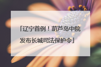 辽宁首例！葫芦岛中院发布长城司法保护令