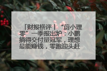 财报横评丨“蔚小理零”一季报出炉：小鹏摘得交付量冠军，理想最能赚钱，零跑迎头赶上，蔚来还在调整