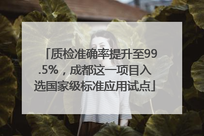 质检准确率提升至99.5%，成都这一项目入选国家级标准应用试点
