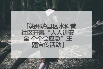 赣州赣县区水科巷社区开展“人人讲安全 个个会应急”主题宣传活动