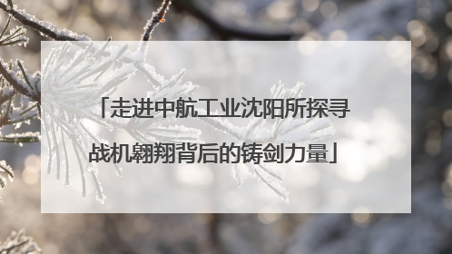 走进中航工业沈阳所探寻战机翱翔背后的铸剑力量