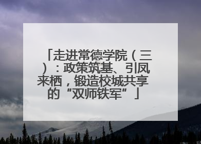 走进常德学院（三）：政策筑基、引凤来栖，锻造校城共享的“双师铁军”