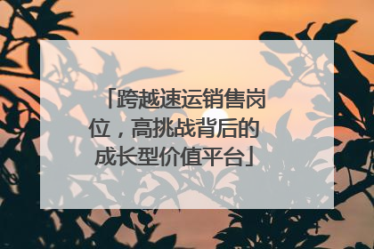 跨越速运销售岗位，高挑战背后的成长型价值平台