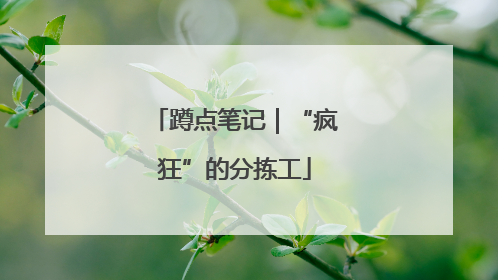 蹲点笔记｜“疯狂”的分拣工