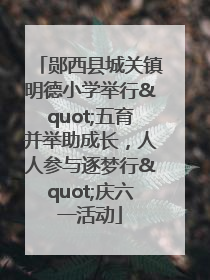 郧西县城关镇明德小学举行"五育并举助成长，人人参与逐梦行"庆六一活动
