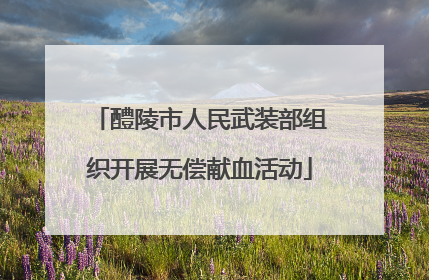 醴陵市人民武装部组织开展无偿献血活动