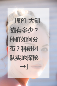 野生大熊猫有多少？种群如何分布？科研团队实地探秘→