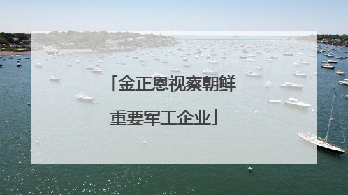 金正恩视察朝鲜重要军工企业