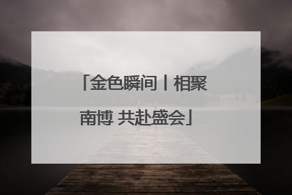 金色瞬间丨相聚南博 共赴盛会