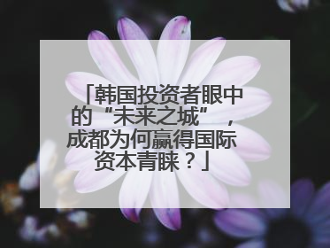 韩国投资者眼中的“未来之城”，成都为何赢得国际资本青睐？