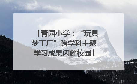 青园小学：“玩具梦工厂”跨学科主题学习成果闪耀校园
